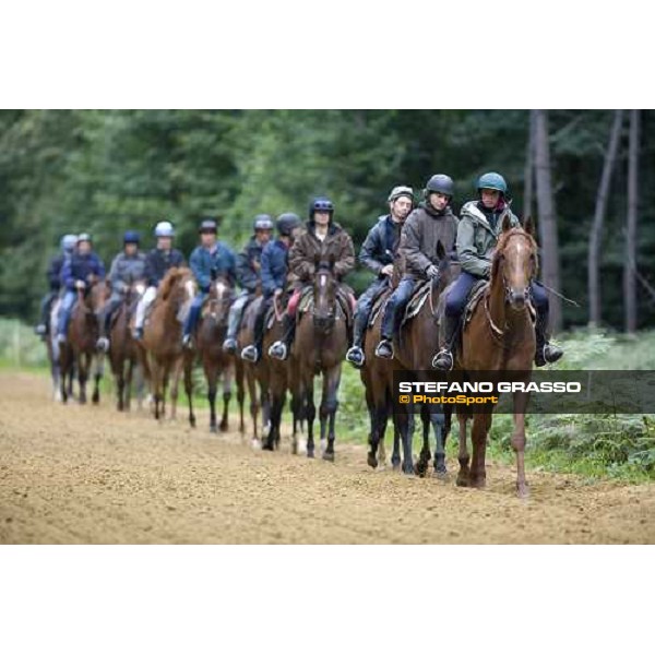 a lot of 2 years old walking in the forest before training La Richerie, 26th june 2007 ph. Stefano Grasso