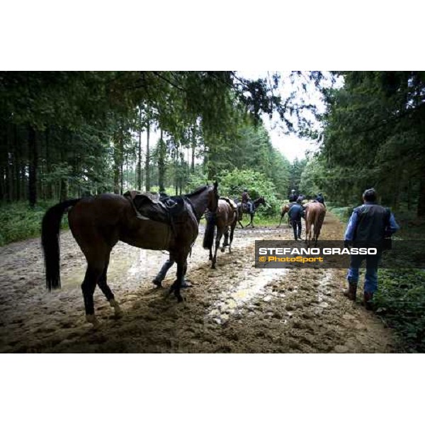 2 years old walking after a training session La Richerie, 26th june 2007 ph. Stefano Grasso