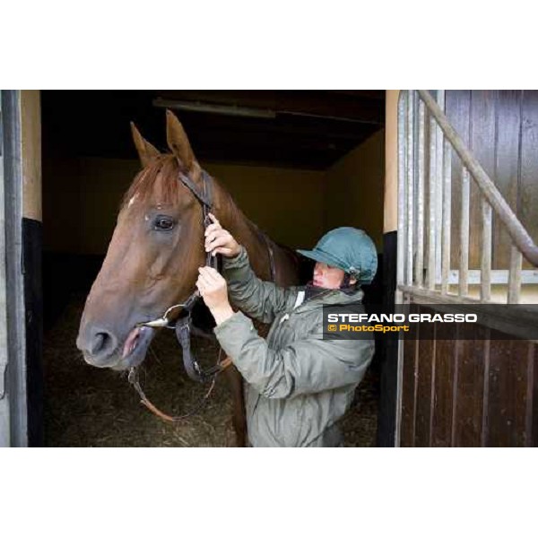 preparing a 2 year old at Eric Libaud\'s traning center before training La Richerie, 26th june 2007 ph. Stefano Grasso