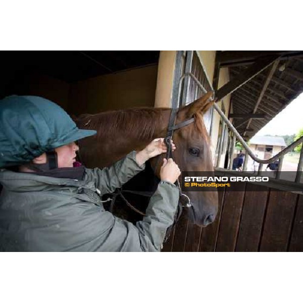 preparing a 2 year old at Eric Libaud\'s traning center before training La Richerie, 26th june 2007 ph. Stefano Grasso