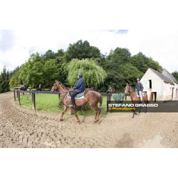 2 years old walking at Eric Libaud\'s traning center before training La Richerie, 26th june 2007 ph. Stefano Grasso