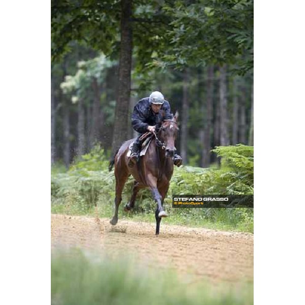 a 2 years old in training La Richerie, 26th june 2007 ph. Stefano Grasso
