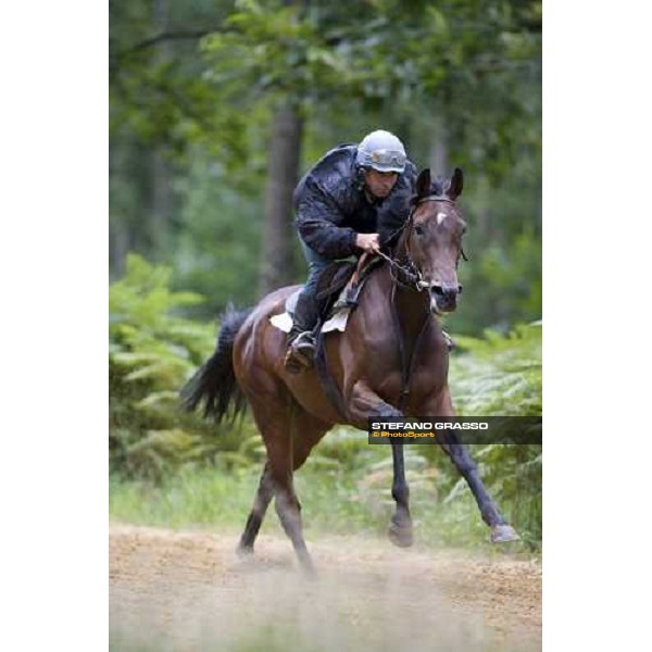 a 2 years old in training La Richerie, 26th june 2007 ph. Stefano Grasso