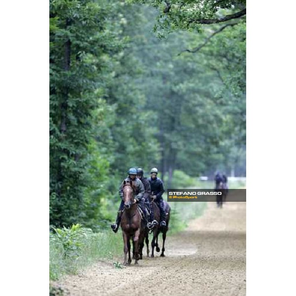 a group of 2 years old in training at Eric Libaud\'s training center La Richerie, 26th june 2007 ph. Stefano Grasso