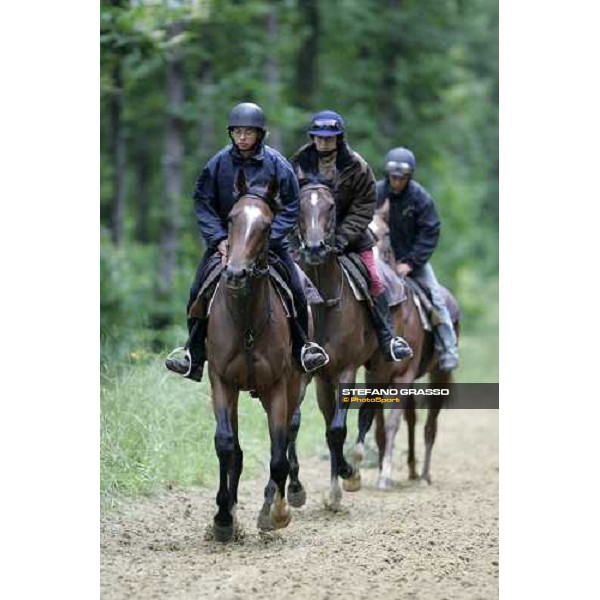 a group of 2 years old in training at Eric Libaud\'s training center La Richerie, 26th june 2007 ph. Stefano Grasso