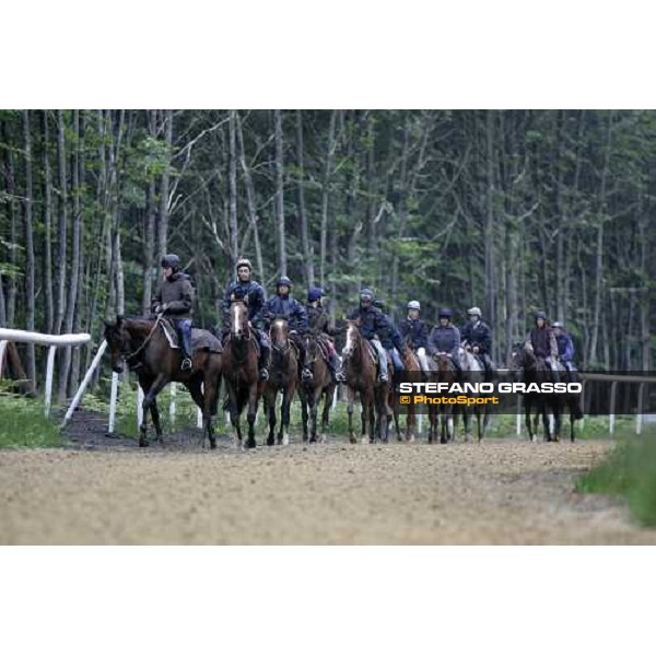 a group of 2 years old in training at Eric Libaud\'s training center La Richerie, 26th june 2007 ph. Stefano Grasso