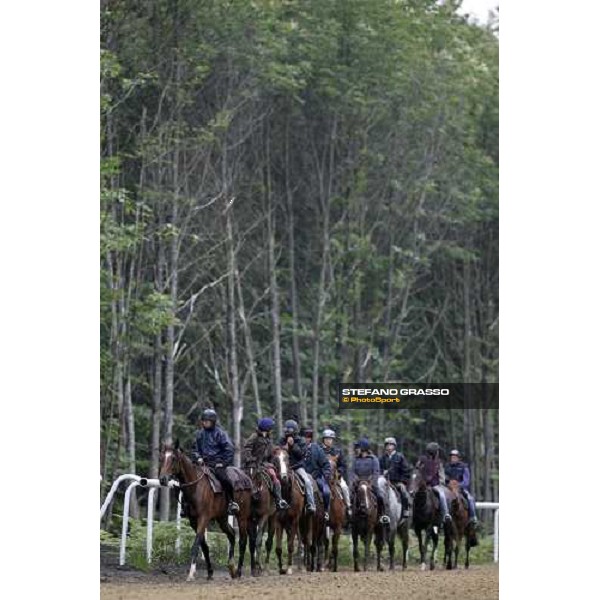 a group of 2 years old in training at Eric Libaud\'s training center La Richerie, 26th june 2007 ph. Stefano Grasso