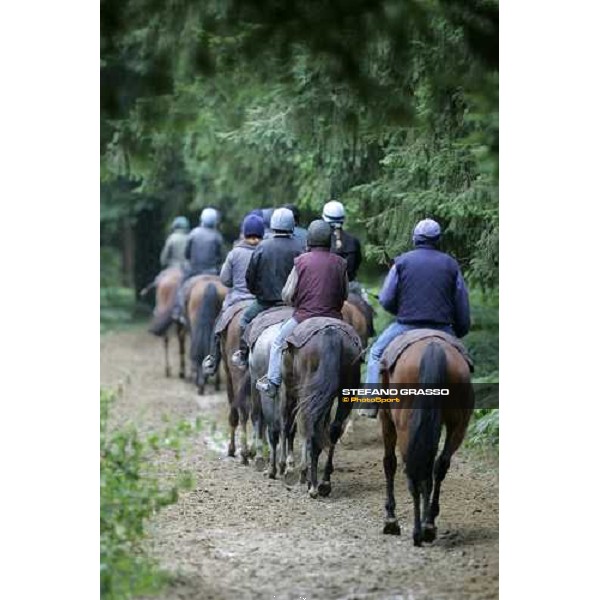 a group of 2 years old in training at Eric Libaud\'s training center La Richerie, 26th june 2007 ph. Stefano Grasso