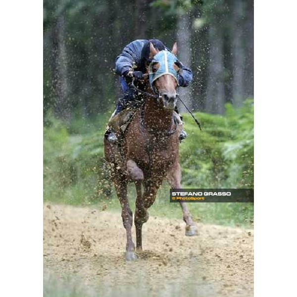 a 2 years old in training at Eric Libaud\'s training center La Richerie, 26th june 2007 ph. Stefano Grasso