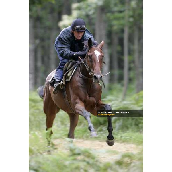 a 2 years old in training at Eric Libaud\'s training center La Richerie, 26th june 2007 ph. Stefano Grasso