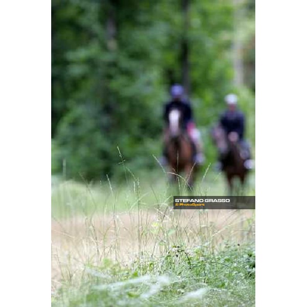 a lot of 2 years old in training at Eric Libaud\'s training center La Richerie, 26th june 2007 ph. Stefano Grasso