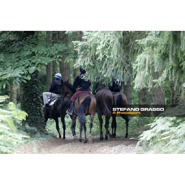 a lot of 2 years old in training at Eric Libaud\'s training center La Richerie, 26th june 2007 ph. Stefano Grasso