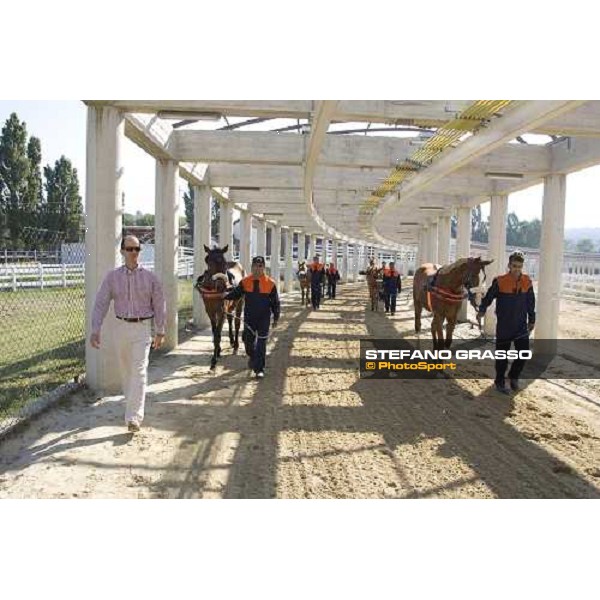 Daniele Camuffo and a lot of 2 years old horses before a training session with Kurt equine training system. Istanbul, 5th july 2007 ph. Stefano Grasso