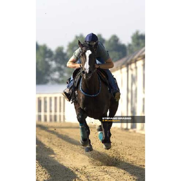 Daniele Camuffo during a training session Istanbul, 5th july 2007 ph. Stefano Grasso