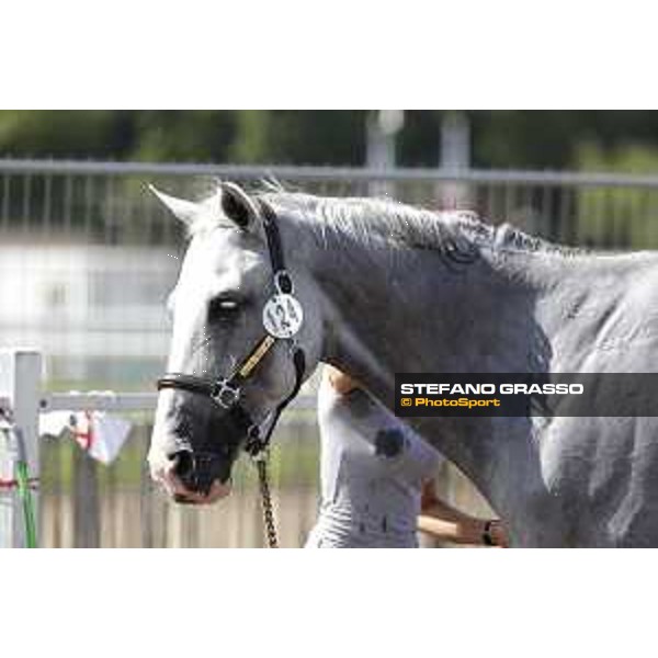 LGCT of Chantilly - Behind the scenes - Shower - Chantilly, - 16 July 2017 - ph.Mario Grassia/LGCT