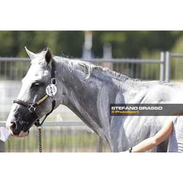 LGCT of Chantilly - Behind the scenes - Shower - Chantilly, - 16 July 2017 - ph.Mario Grassia/LGCT