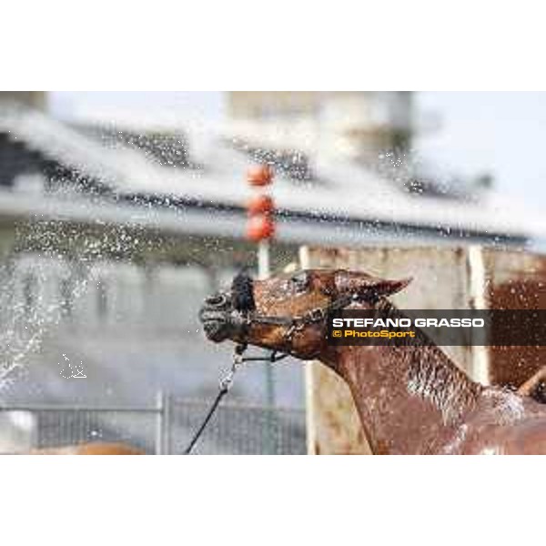 LGCT of Chantilly - Behind the scenes - Shower - Chantilly, - 16 July 2017 - ph.Mario Grassia/LGCT