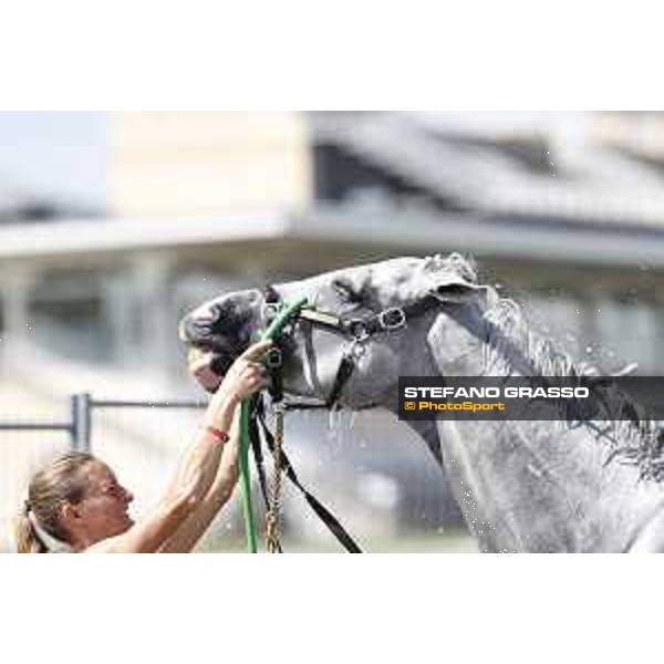 LGCT of Chantilly - Behind the scenes - Shower - Chantilly, - 16 July 2017 - ph.Mario Grassia/LGCT