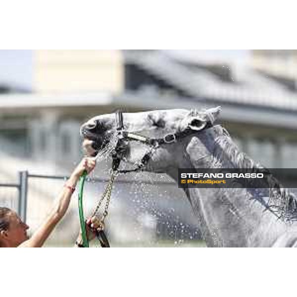 LGCT of Chantilly - Behind the scenes - Shower - Chantilly, - 16 July 2017 - ph.Mario Grassia/LGCT