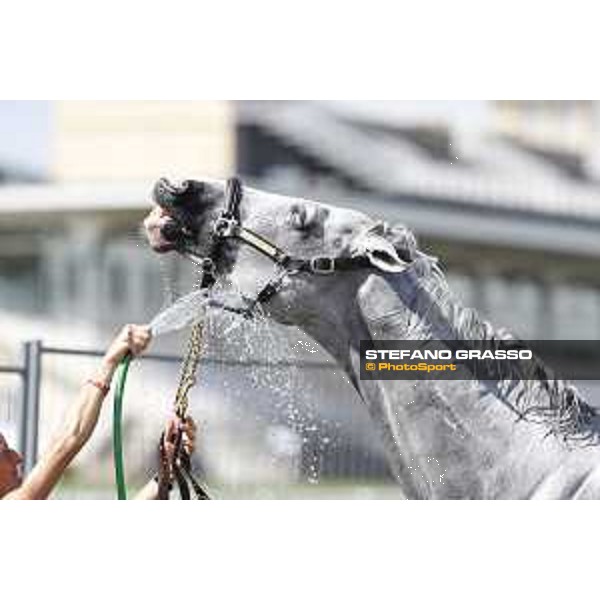 LGCT of Chantilly - Behind the scenes - Shower - Chantilly, - 16 July 2017 - ph.Mario Grassia/LGCT