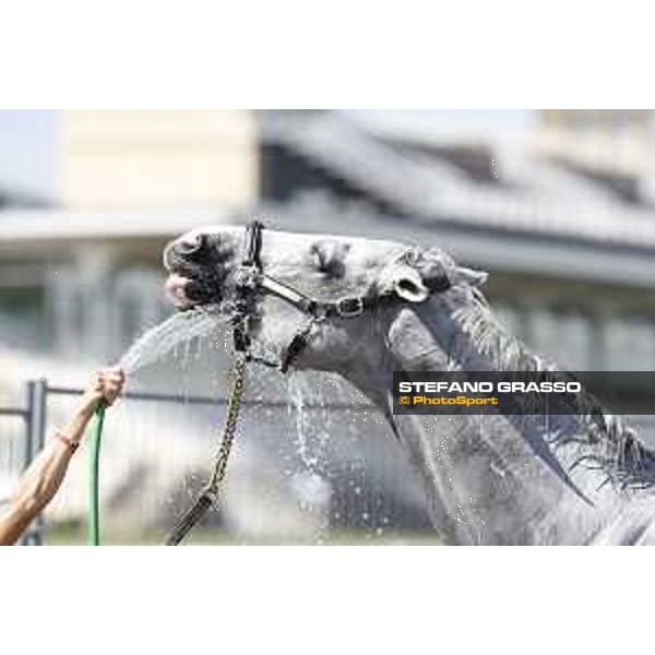 LGCT of Chantilly - Behind the scenes - Shower - Chantilly, - 16 July 2017 - ph.Mario Grassia/LGCT