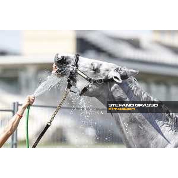 LGCT of Chantilly - Behind the scenes - Shower - Chantilly, - 16 July 2017 - ph.Mario Grassia/LGCT
