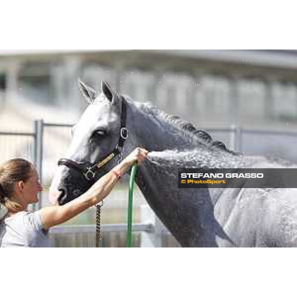 LGCT of Chantilly - Behind the scenes - Shower - Chantilly, - 16 July 2017 - ph.Mario Grassia/LGCT