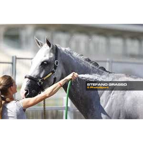LGCT of Chantilly - Behind the scenes - Shower - Chantilly, - 16 July 2017 - ph.Mario Grassia/LGCT
