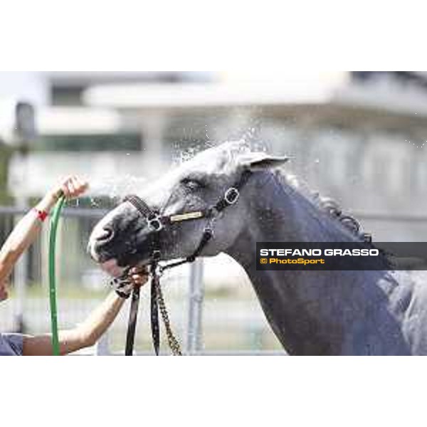 LGCT of Chantilly - Behind the scenes - Shower - Chantilly, - 16 July 2017 - ph.Mario Grassia/LGCT