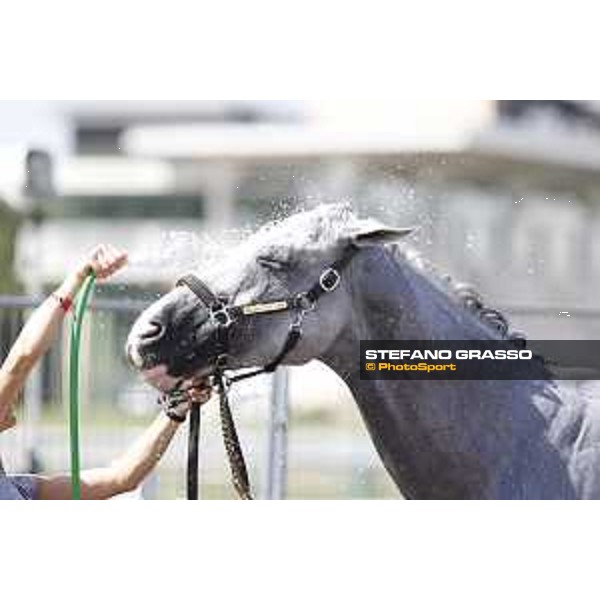LGCT of Chantilly - Behind the scenes - Shower - Chantilly, - 16 July 2017 - ph.Mario Grassia/LGCT