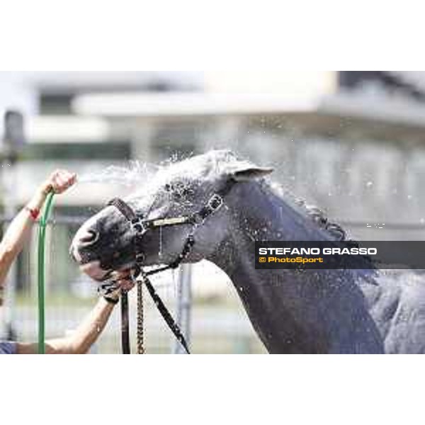 LGCT of Chantilly - Behind the scenes - Shower - Chantilly, - 16 July 2017 - ph.Mario Grassia/LGCT