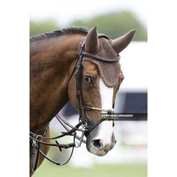 LGCT of Chantilly - Behind the scenes - Hello Forever - Chantilly, - 14 July 2017 - ph.Mario Grassia/LGCT