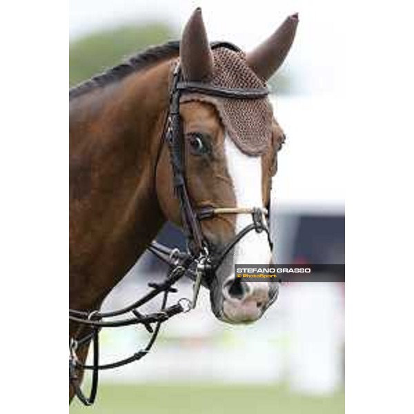 LGCT of Chantilly - Behind the scenes - Hello Forever - Chantilly, - 14 July 2017 - ph.Mario Grassia/LGCT