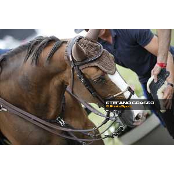 LGCT of Chantilly - Behind the scenes - Hello Forever - Chantilly, - 14 July 2017 - ph.Mario Grassia/LGCT