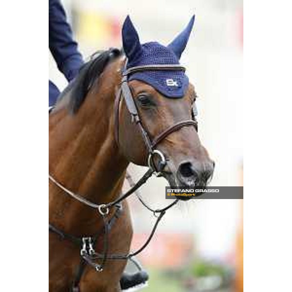 LGCT of Chantilly - Class 1 - Lorenzo de Luca on Armitages Boy - Chantilly, - 14 July 2017 - ph.Stefano Grasso/LGCT