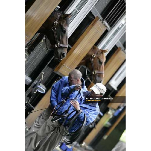 The Darley Stallion Parade Newmarket, 13th july 2007 ph. Stefano Grasso