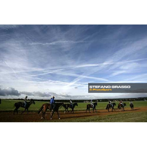 morning works at Warren Hill Newmarket, 14th july 2007 ph. Stefano Grasso