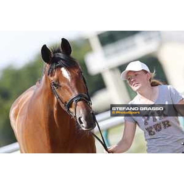 LGCT of Chantilly - Vet check - Chacon - Chantilly, - 13 July 2017 - ph.Stefano Grasso/LGCT