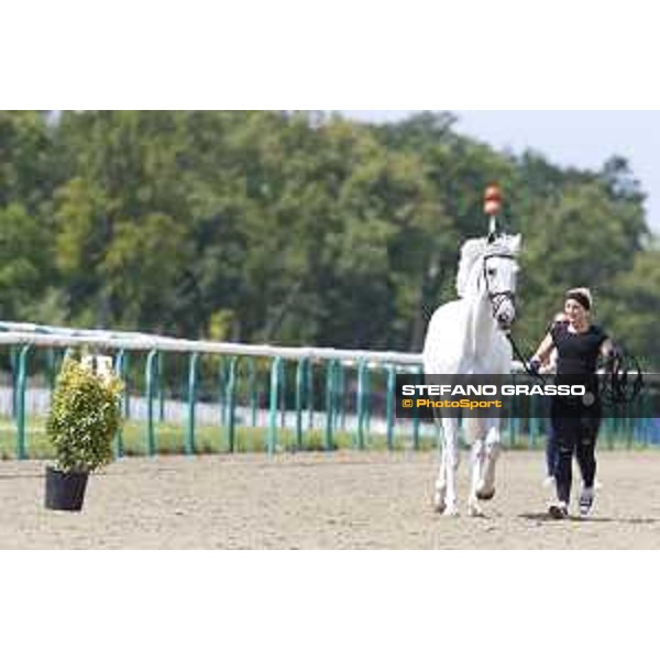 LGCT of Chantilly - Vet check - Alicante - Chantilly, - 13 July 2017 - ph.Stefano Grasso/LGCT