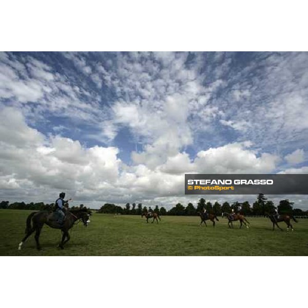 horses in training by Marco Botti walking at the rowley mile after a training session Newmarket, 14th july 2007 ph. Stefano Grasso