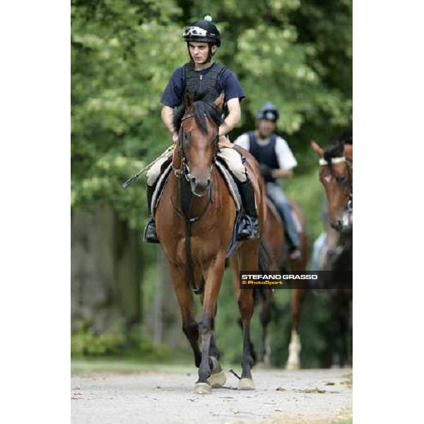horses trained by Marco Botti preparing for a training session Newmarket, 14th july 2007 ph. Stefano Grasso