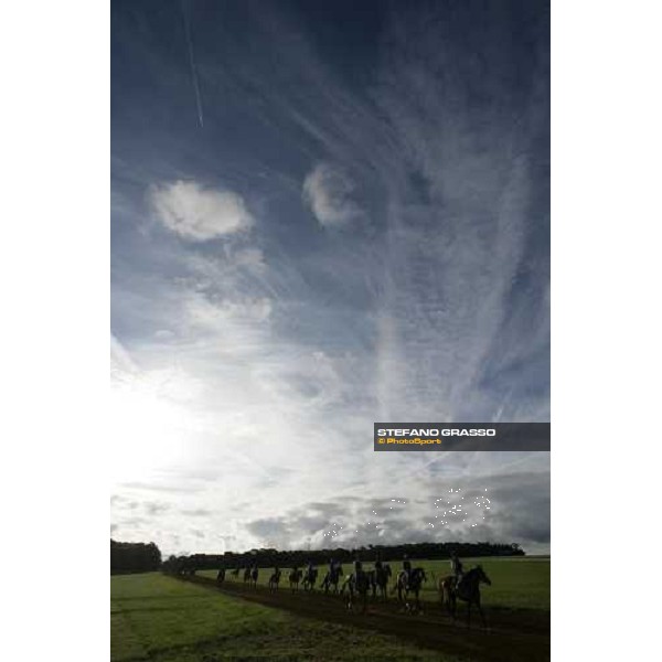 morning works at Warren Hill Newmarket, 14th july 2007 ph. Stefano Grasso