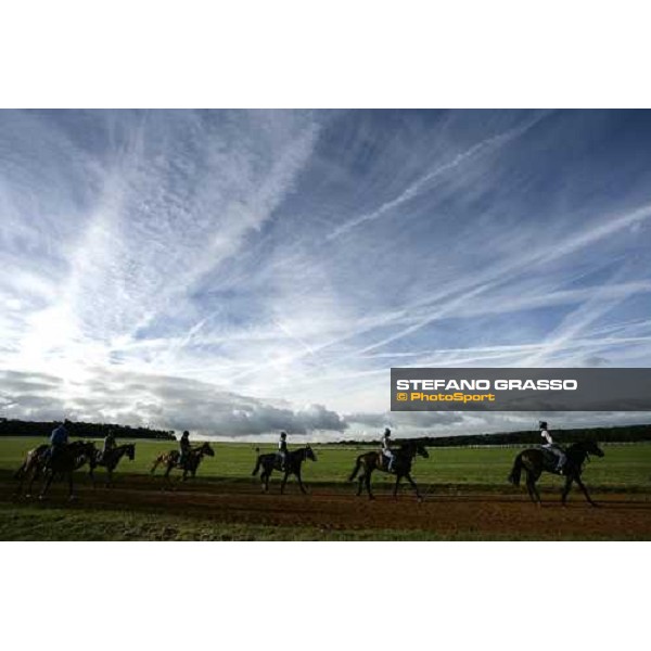 morning works at Warren Hill Newmarket, 14th july 2007 ph. Stefano Grasso