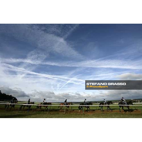 morning works at Warren Hill Newmarket, 14th july 2007 ph. Stefano Grasso