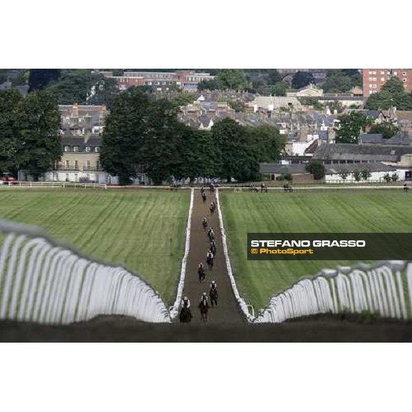 morning works at Warren Hill Newmarket, 14th july 2007 ph. Stefano Grasso