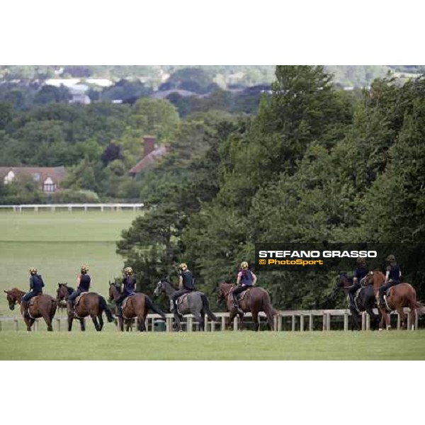morning works at Warren Hill Newmarket, 14th july 2007 ph. Stefano Grasso