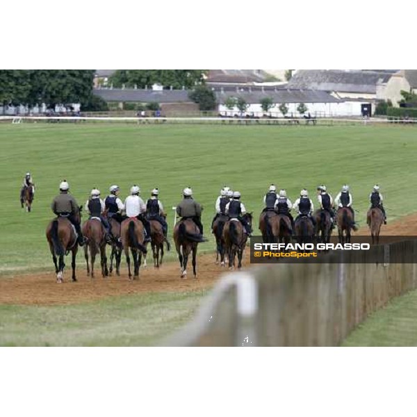 morning works at Warren Hill Newmarket, 14th july 2007 ph. Stefano Grasso