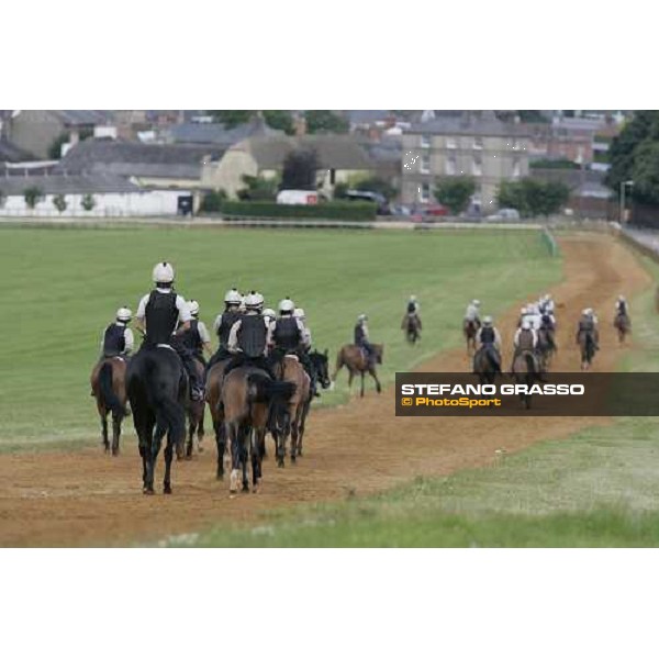 morning works at Warren Hill Newmarket, 14th july 2007 ph. Stefano Grasso