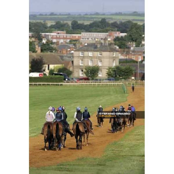 morning works at Warren Hill Newmarket, 14th july 2007 ph. Stefano Grasso