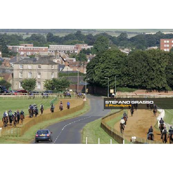 morning works at Warren Hill Newmarket, 14th july 2007 ph. Stefano Grasso
